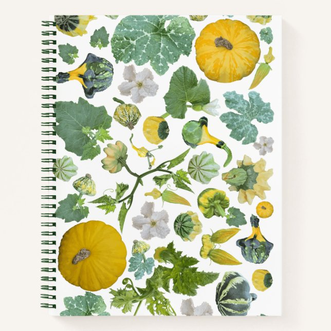 Cuaderno Jardín de Calabazas  (Anverso)