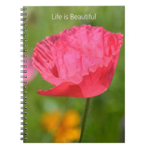 Cuaderno Jardín de flores de amapola islandesa rosa (mi fot