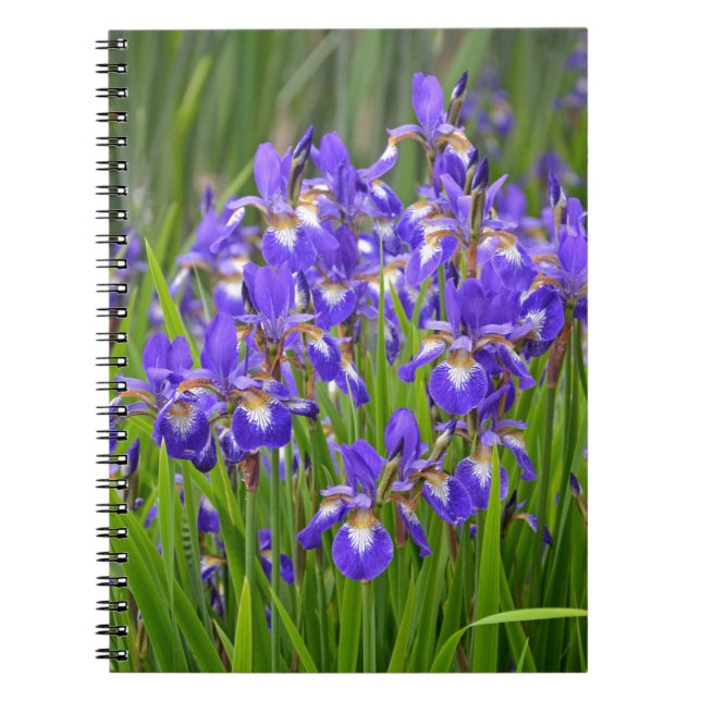 Cuaderno Jardín de flores de iris morado (Frente)