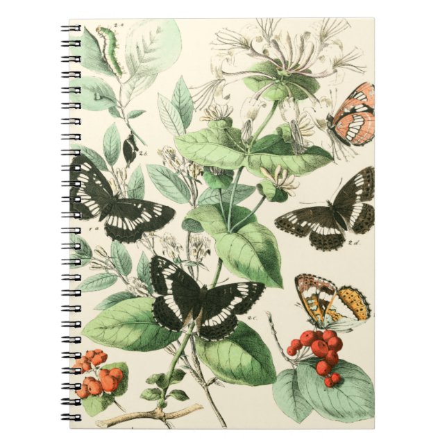 Cuaderno Jardín de mariposas y flores (Frente)