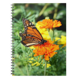 Cuaderno Jardín de Mariposas y Flores de Marigold