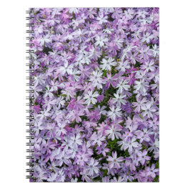 Cuaderno Jardín de Phlox Púrpura