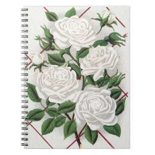 Cuaderno Jardín de rosas trepadoras blancas antiguas victor