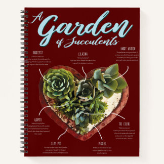 Cuaderno Jardín De Suculentos