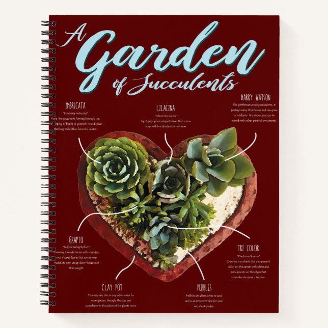 Cuaderno Jardín De Suculentos (Anverso)