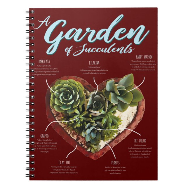 Cuaderno Jardín De Suculentos (Frente)