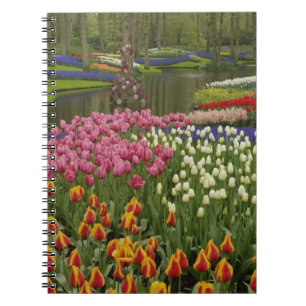 Cuaderno Jardín de tulipanes e hyacinth, Keukenhof Gardens,