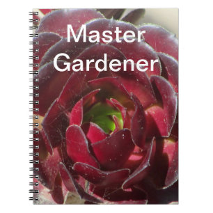 Cuaderno Jardinería Maestra Suculenta Fotofotografía Jardin