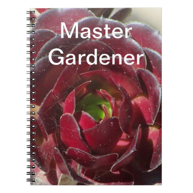 Cuaderno Jardinería Maestra Suculenta Fotofotografía Jardin (Frente)