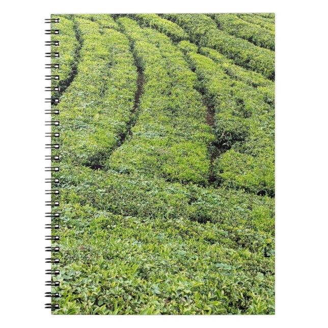 Cuaderno Jardines de té de Munnar en  (Frente)