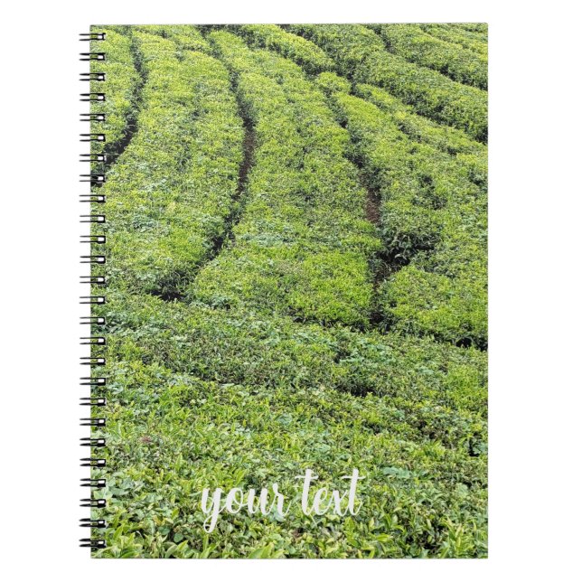 Cuaderno Jardines de té de Munnar en  (Frente)