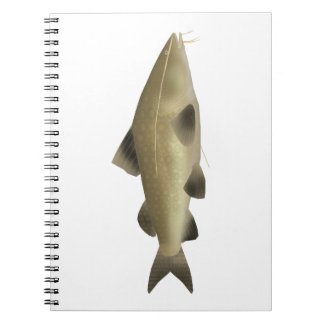 Cuaderno Jaú Catfish