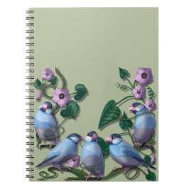 Cuaderno Java sparrows