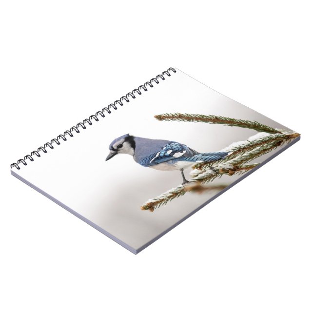 Cuaderno Jay azul en invierno (Lado Izquierdo)