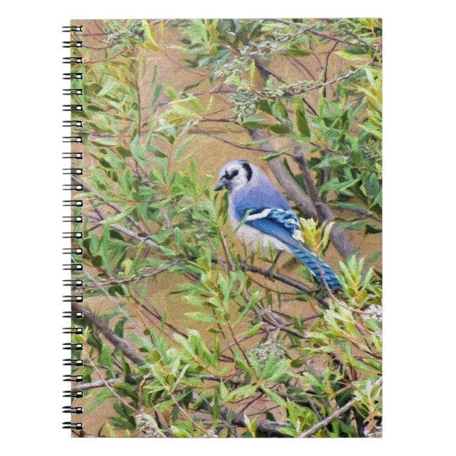 Cuaderno Jay azul en Southern Wax Myrtle (Frente)