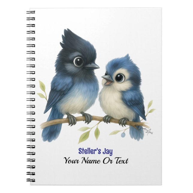 Cuaderno Jay de Sassy Steller (Frente)