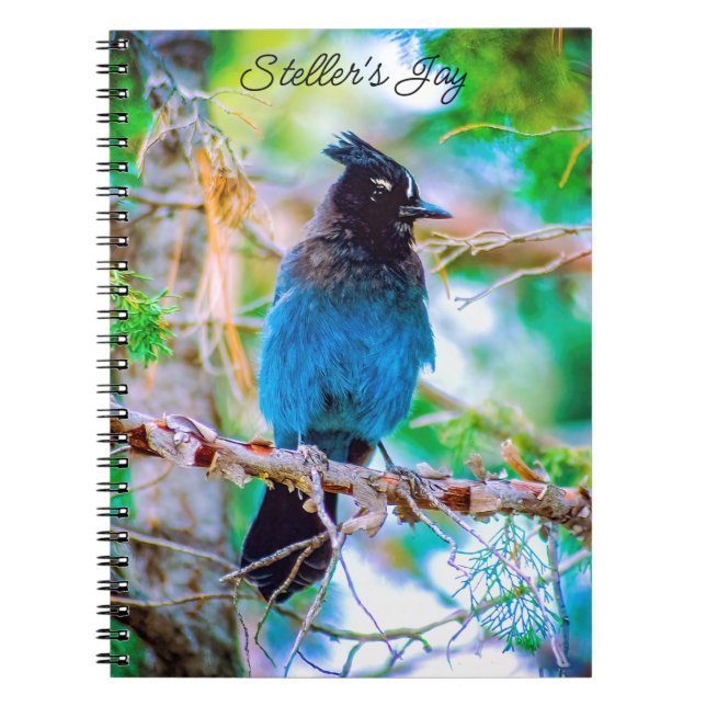 Cuaderno Jay de Steller - Fotografía original (Frente)