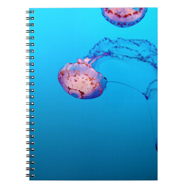 CUADERNO JELLY FISHES SUPERIOR AL AGUA (Frente)