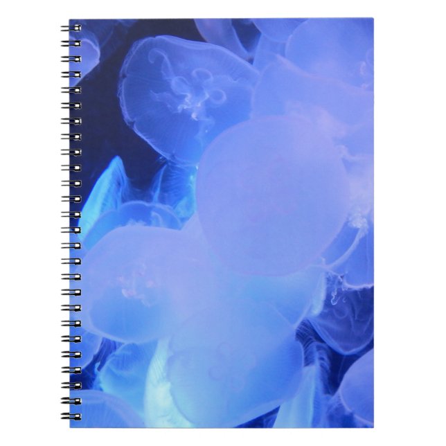 CUADERNO JELLYFISH (Frente)