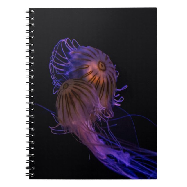 Cuaderno Jellyfish Dance Partners (Frente)