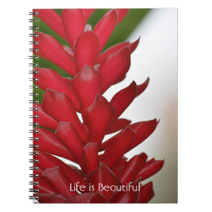 Cuaderno Jengibre Rojo Floral Kauai (mi fotografía)