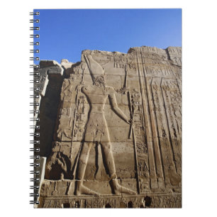Cuaderno Jeroglíficos antiguos en la pared, Templo de Karna