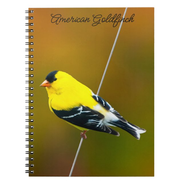 Cuaderno Jilguero Americano - Fotografía Original (Frente)