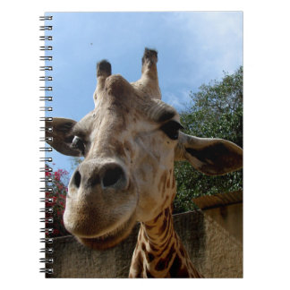 Cuaderno Jirafa