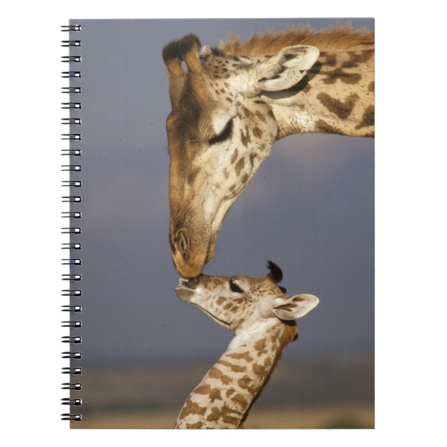 Cuaderno Jirafa besando a una jirafa bebé (Frente)