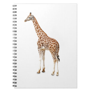 Cuaderno Jirafa de cuello largo