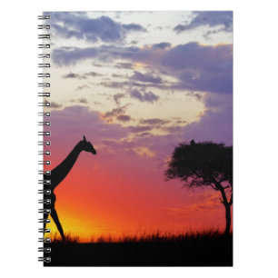 Cuaderno Jirafa silueteada al amanecer, Giraffa