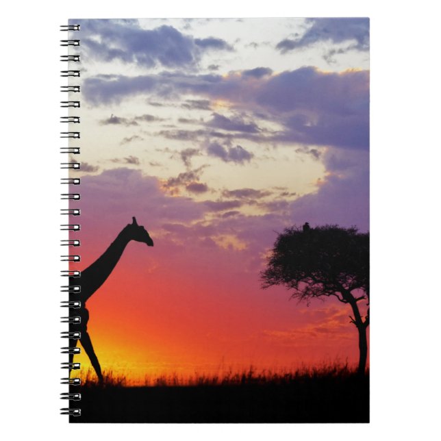 Cuaderno Jirafa silueteada al amanecer, Giraffa (Frente)