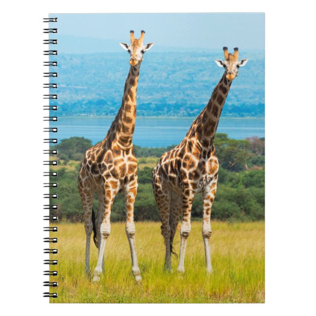 Cuaderno Jirafas en la sabana, Uganda (Frente)