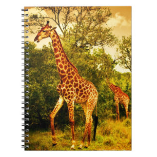 Cuaderno Jirafas surafricanas