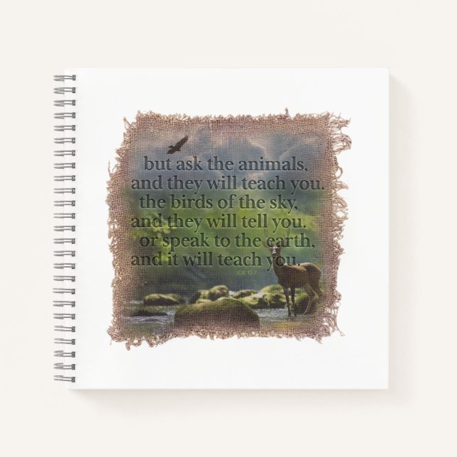 Cuaderno JOB 12:7 - Journal (Anverso)