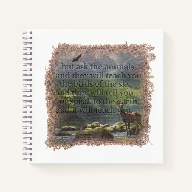 Cuaderno JOB 12:7 - Journal (Anverso)