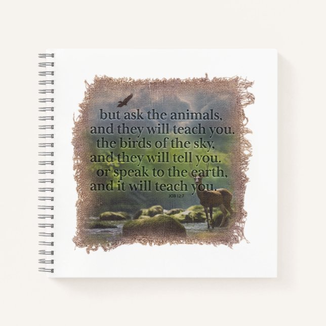 Cuaderno JOB 12:7 - Journal (Anverso)