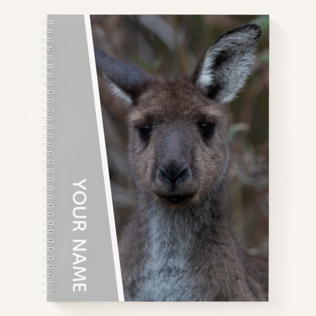 Cuaderno Joey Portrait, bebé canguro, Australia, plata (Anverso)