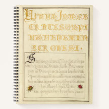 Joris Hoefnagel Beetlelike Insects 1562