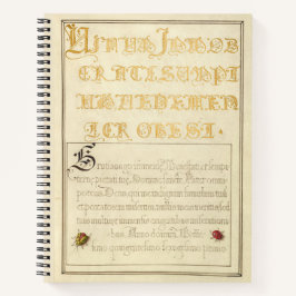 Cuaderno Joris Hoefnagel Beetlelike Insects 1562