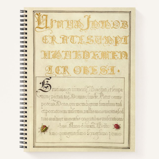 Cuaderno Joris Hoefnagel Beetlelike Insects 1562 (Anverso)