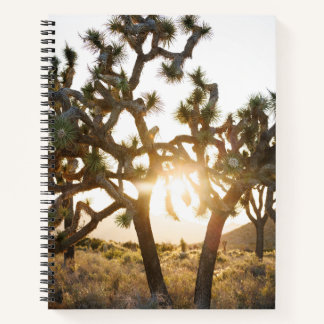 Cuaderno Joshua Tree - edición limitada