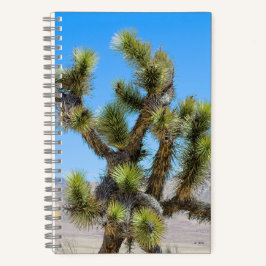 Cuaderno Joshua Tree en California