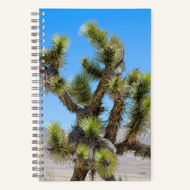 Cuaderno Joshua Tree en California (Anverso)
