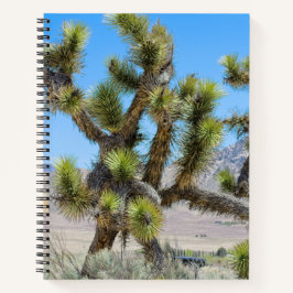 Cuaderno Joshua Tree en California
