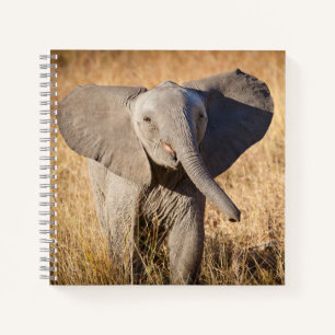 Cuaderno Joven Bush Elephant