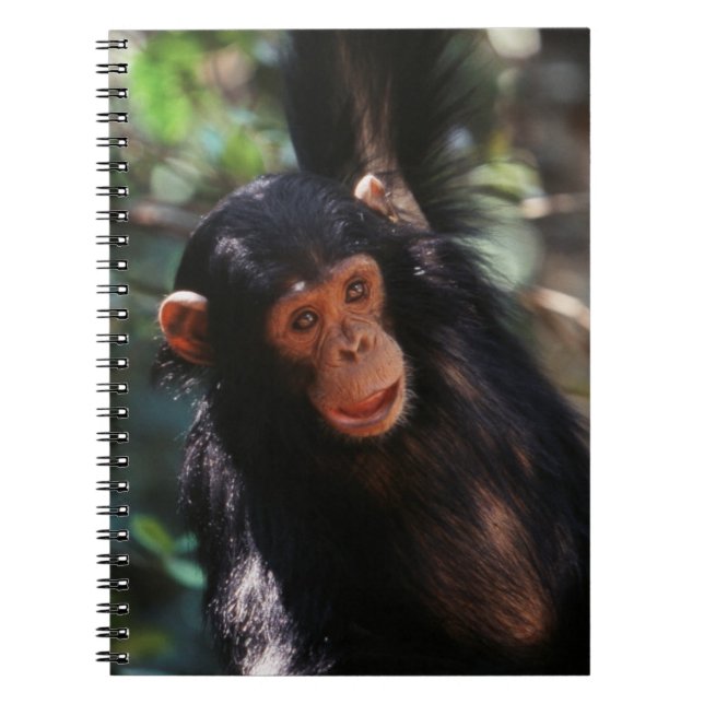 Cuaderno Joven Chimpanzee (Frente)