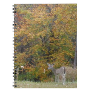 Cuaderno Jóven ciervo de Bambi con árboles caídos.