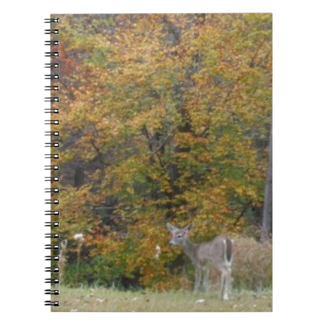 Cuaderno Jóven ciervo de Bambi con árboles caídos. (Frente)
