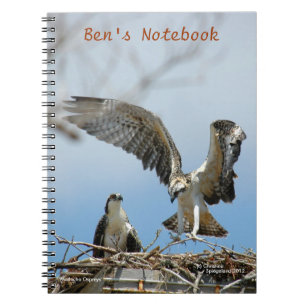 Cuaderno joven de Bens de los halcones de los